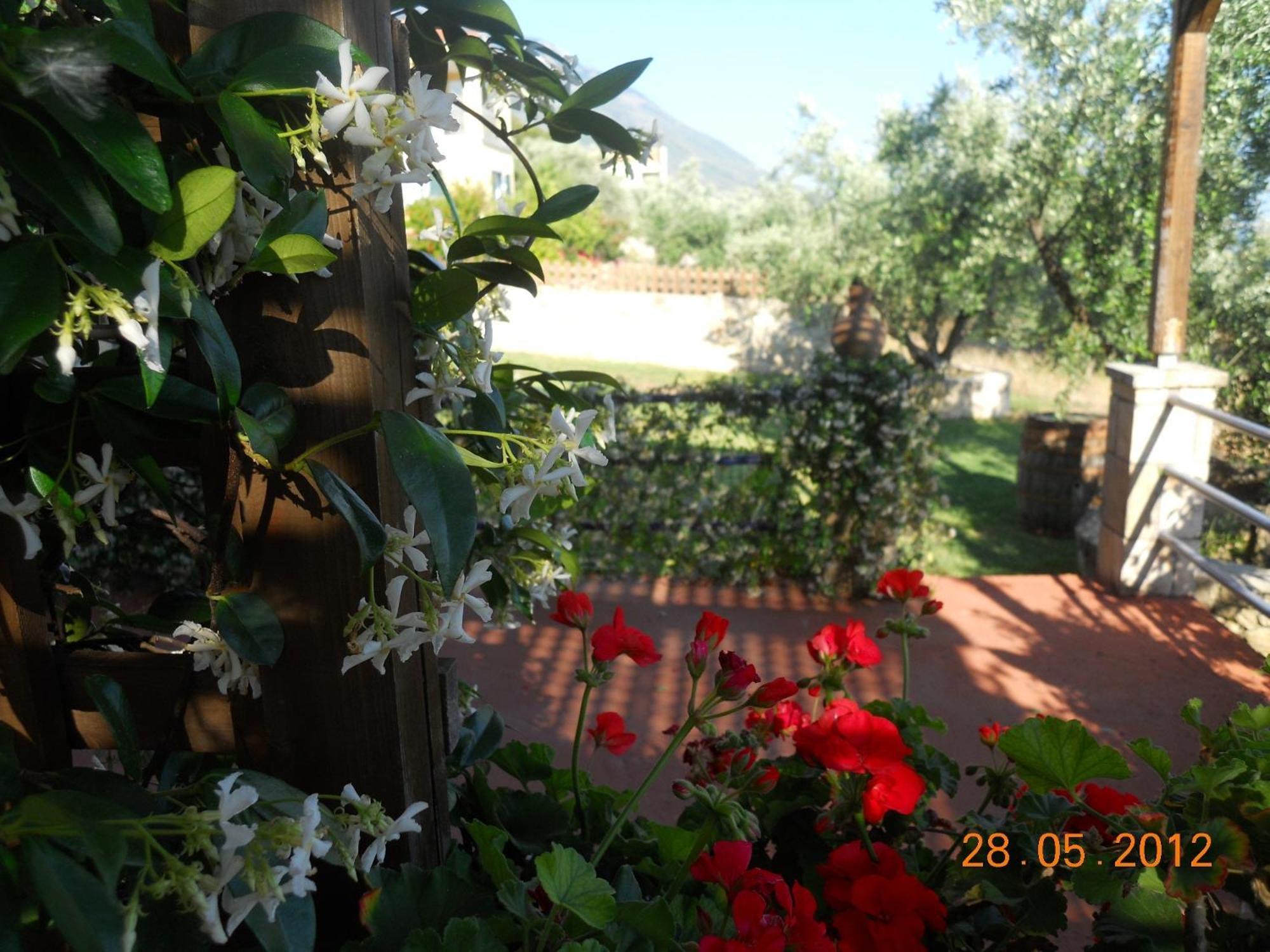 Delfinia Appartement Vlachata Buitenkant foto